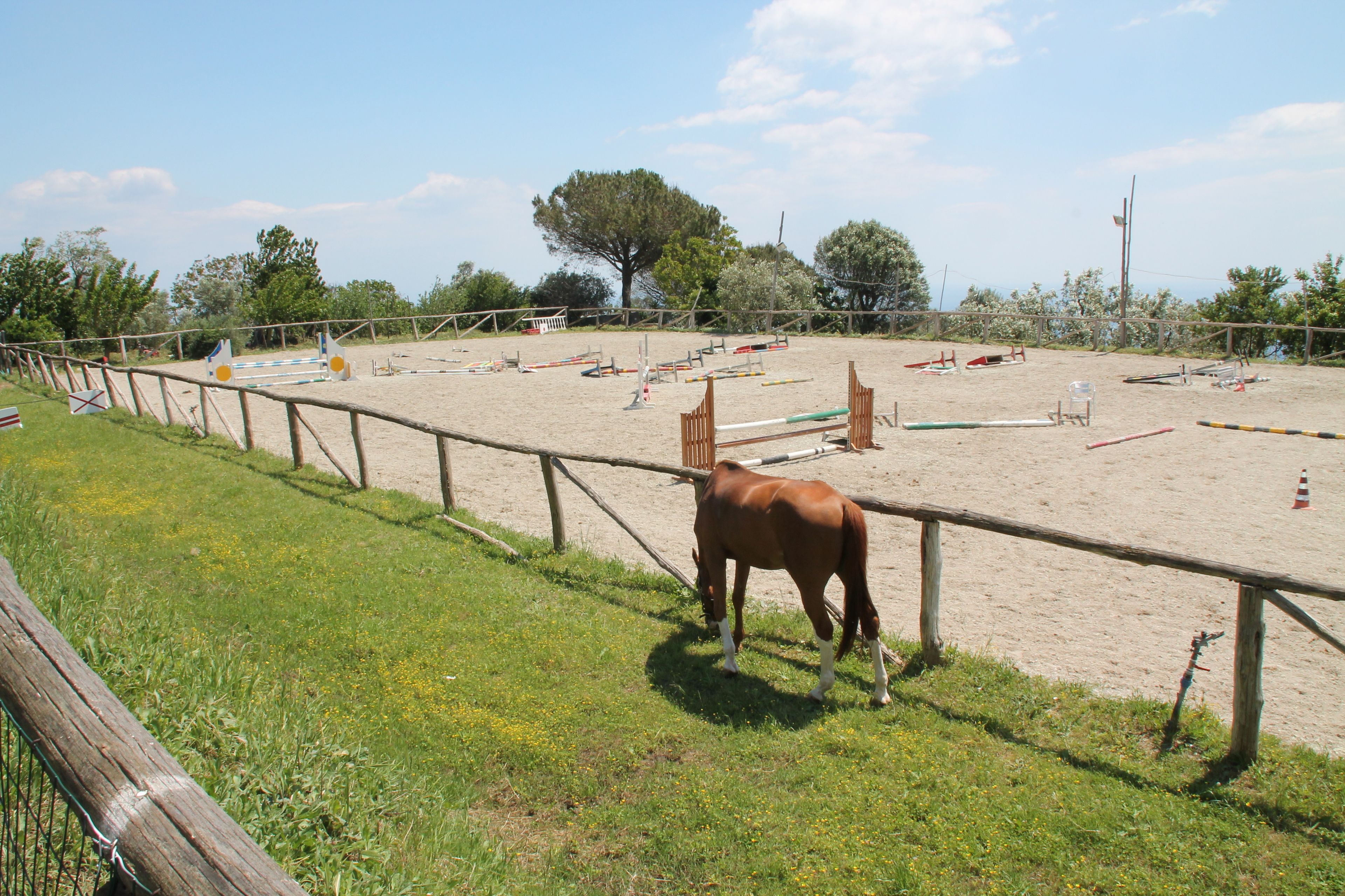 Foto - Agriturismo Piccolo Paradiso
