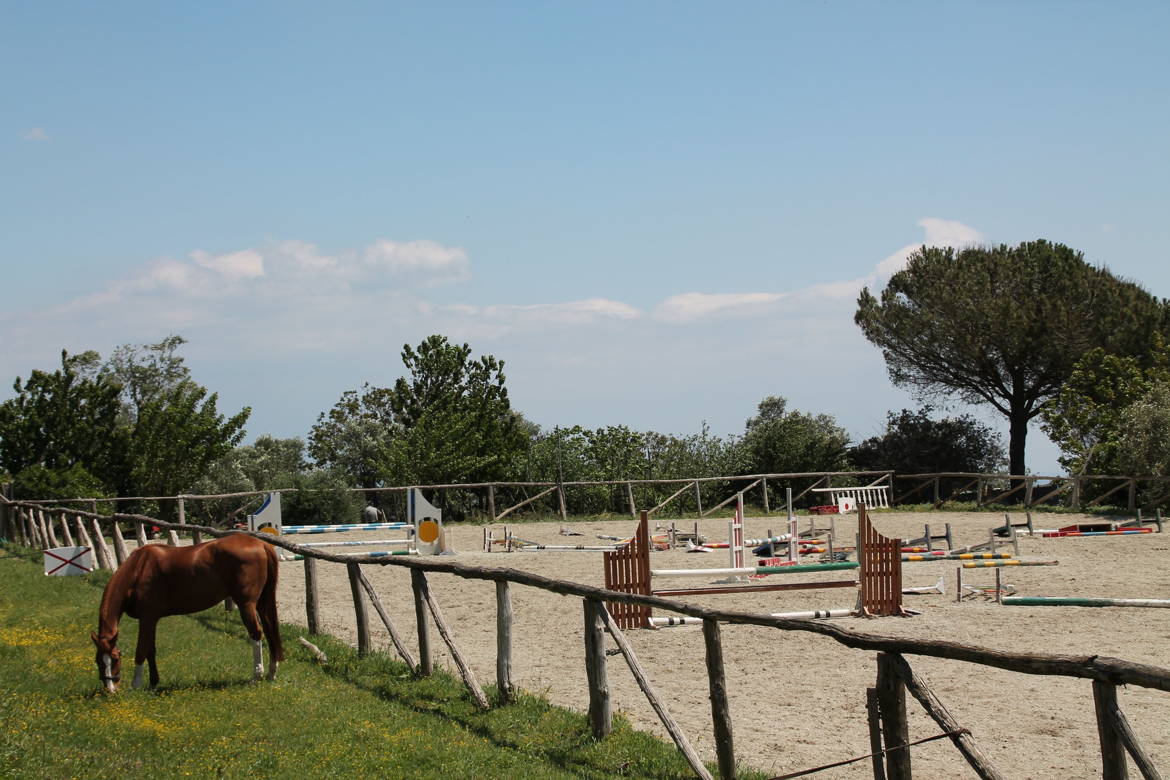 Een stal met een paard dat graast, omringd door omheining en paardenbenodigdheden.