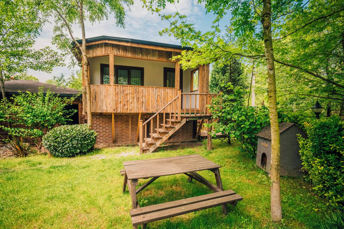 Een houten chalet met een balkon, een trap en een klein hondenhuisje in een weelderige tuin.