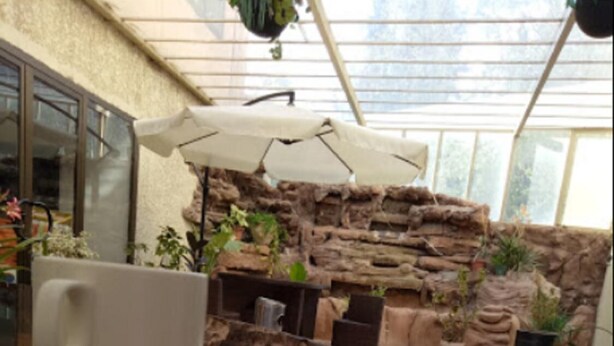 Une table à plateau en verre, une tasse blanche, une chaise en osier et un mur en pierres avec des plantes, le tout dans une pièce baignée de lumière.