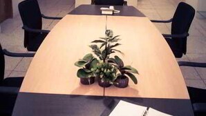 A conference room with a long table, four chairs, a potted plant, and a notebook on the table. - Fuji Inn (GULSHAN 1)