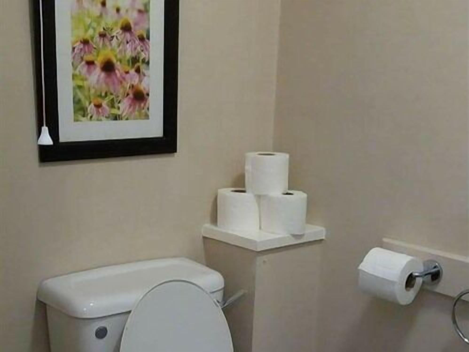 A bathroom with a toilet, a framed floral picture on the wall, and a roll of toilet paper on a holder.