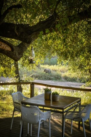 Outdoor dining - Lion Sands Narina Lodge (Mpumalanga-SKUKUZA)