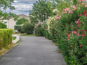 A paved pathway flanked by lush greenery and flowering plants. - Les Demeures du Ventoux - Vacanceole (Aubignan)