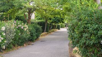 A paved pathway flanked by dense greenery and flowering plants.