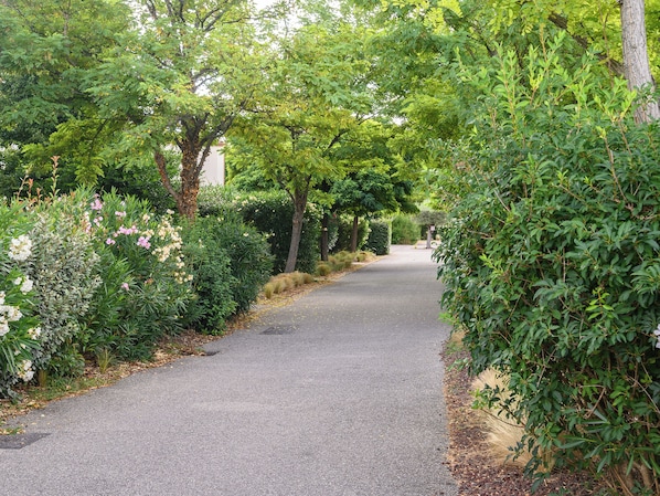 A paved pathway flanked by dense greenery and flowering plants. - Les Demeures du Ventoux - Vacanceole (Aubignan)