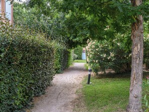 A gravel path flanked by dense foliage and a tree trunk. - Les Demeures du Ventoux - Vacanceole (Aubignan)