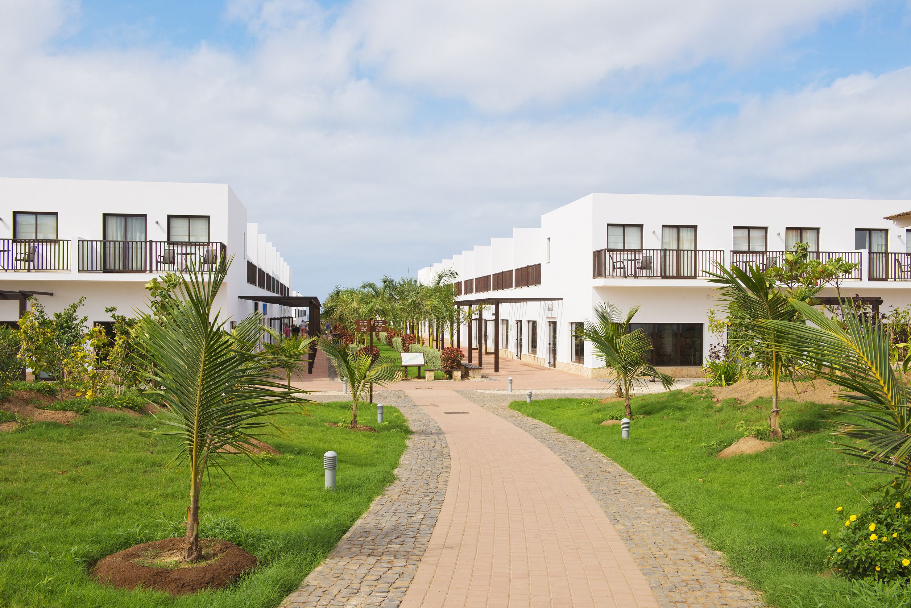 A pathway leading to a row of white buildings with balconies, surrounded by greenery and palm trees.