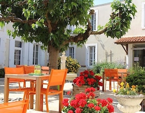 Un espace extérieur aménagé avec des chaises et des tables orange, entouré de plantes et de fleurs en pot.