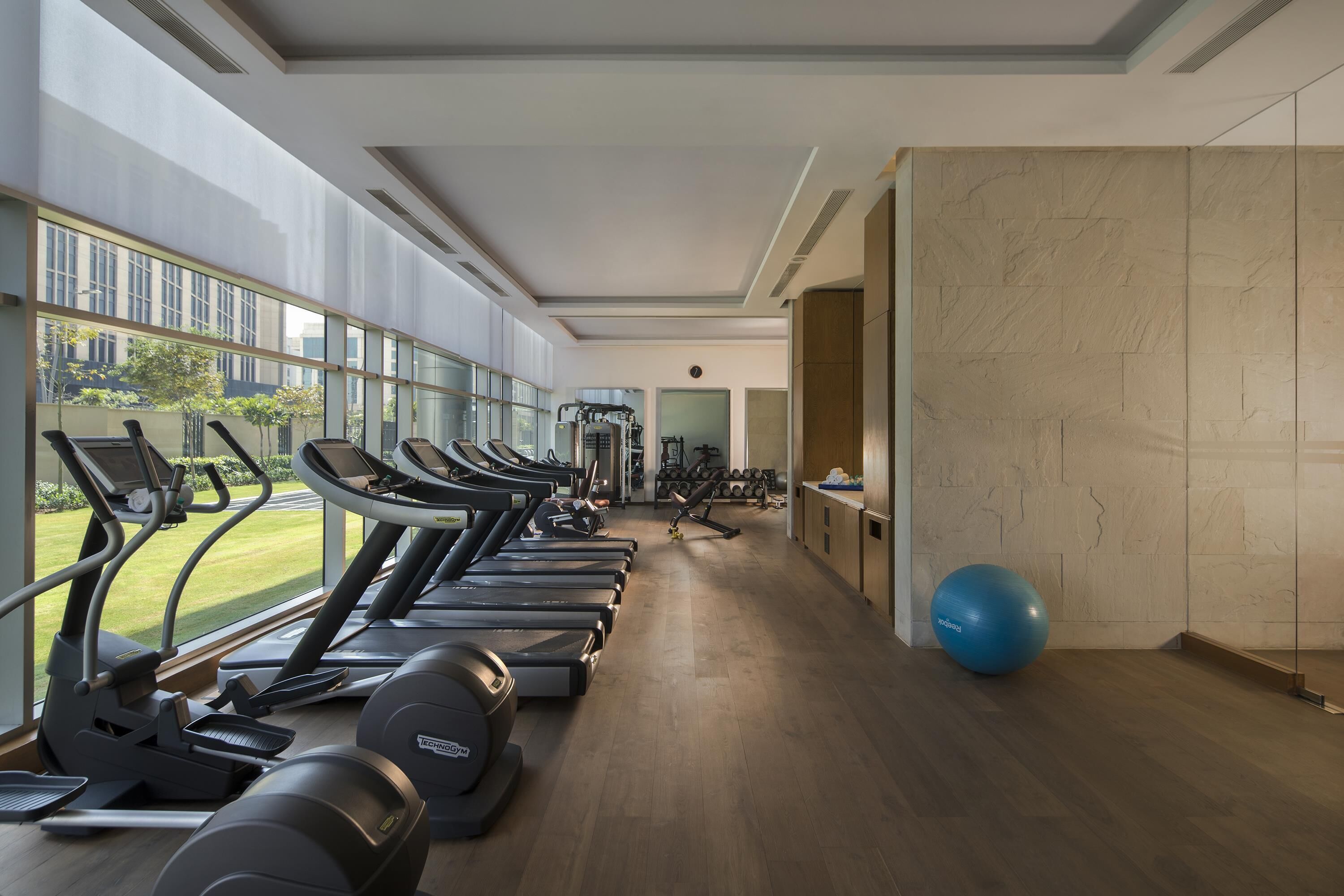 A gym with treadmills, weights, and a blue exercise ball.