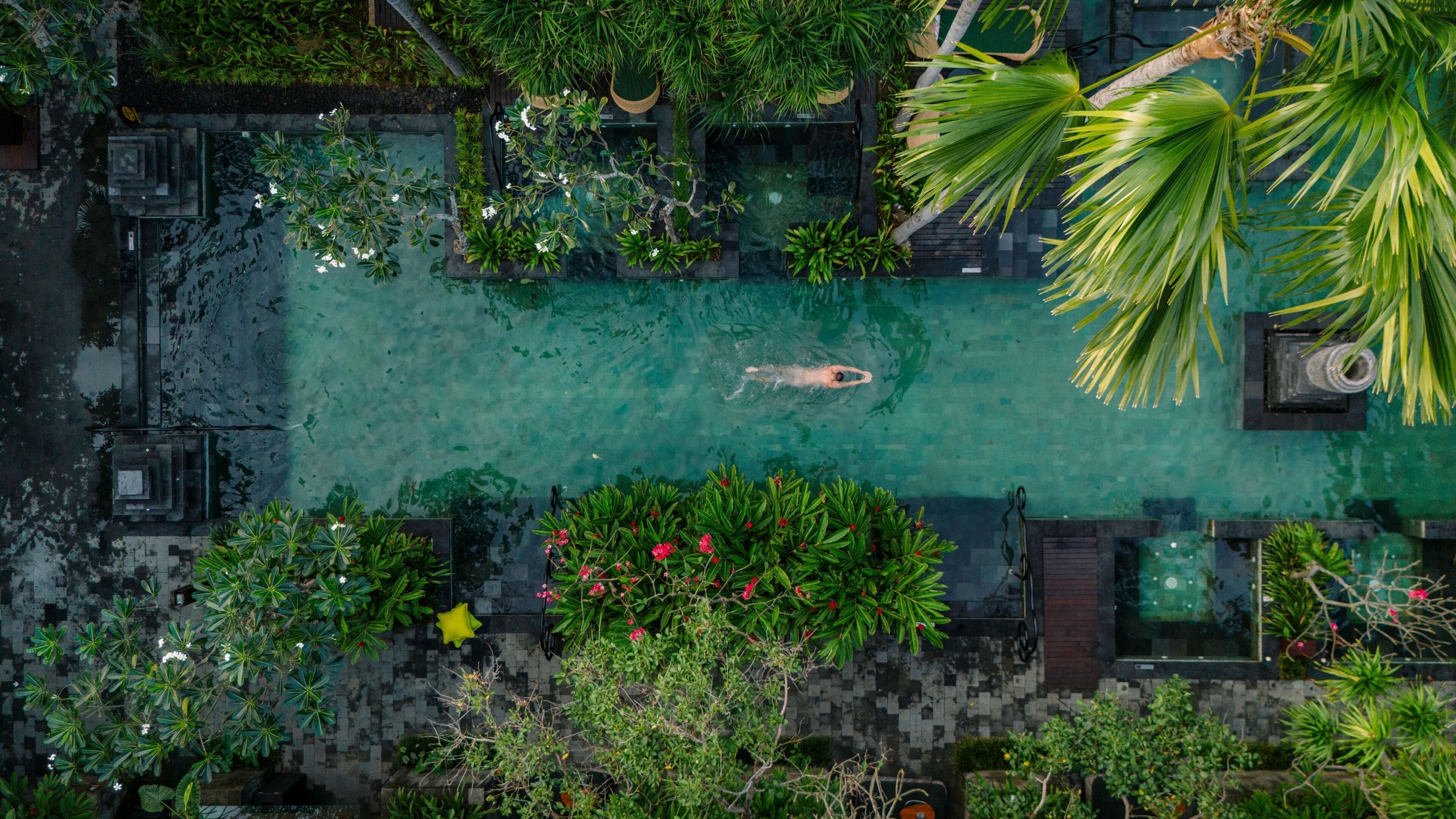 Une vue aérienne d’une piscine entourée d’une végétation luxuriante et de différentes espèces de plantes.