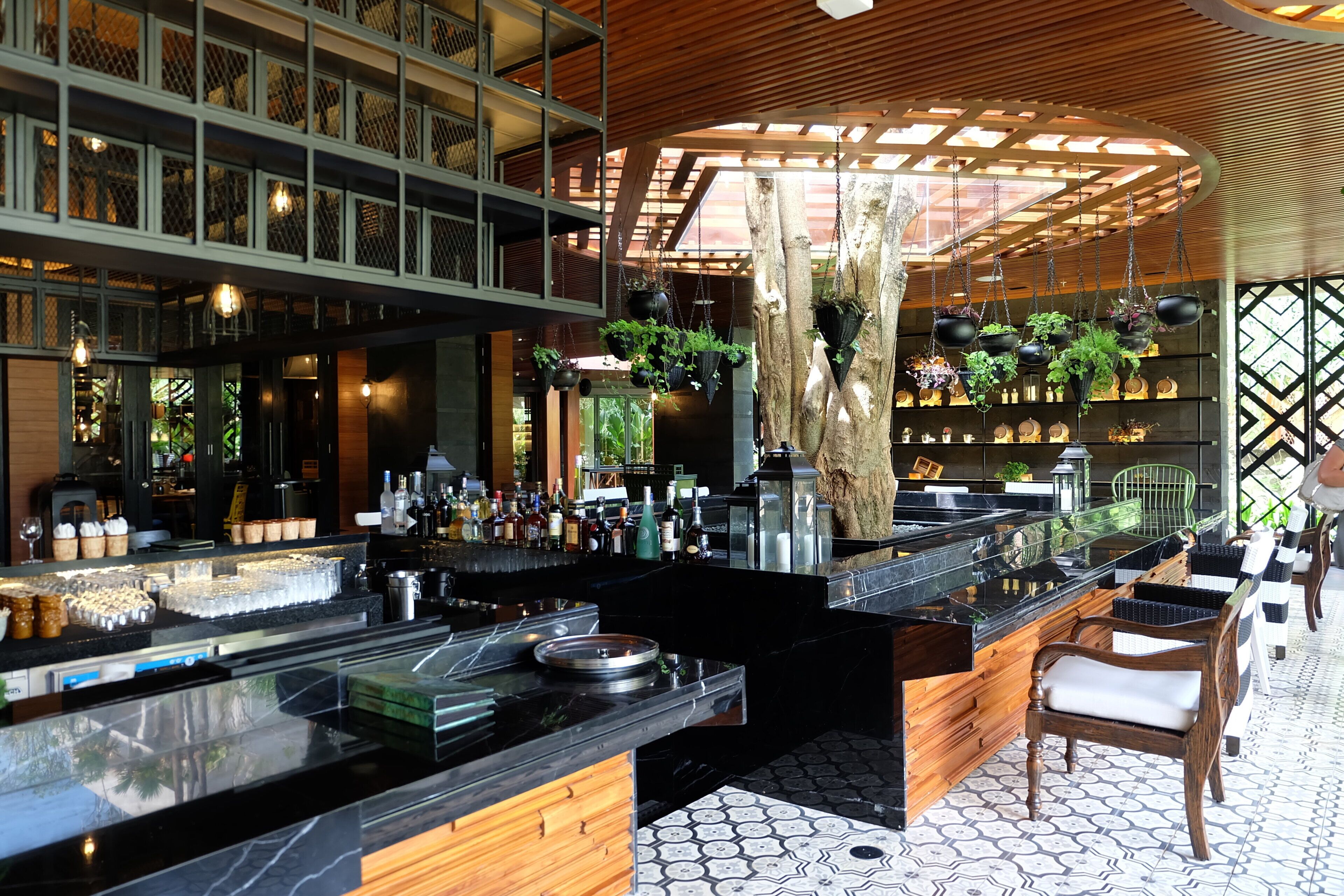 Een bar met een counter, hangplanten en diverse flessen.