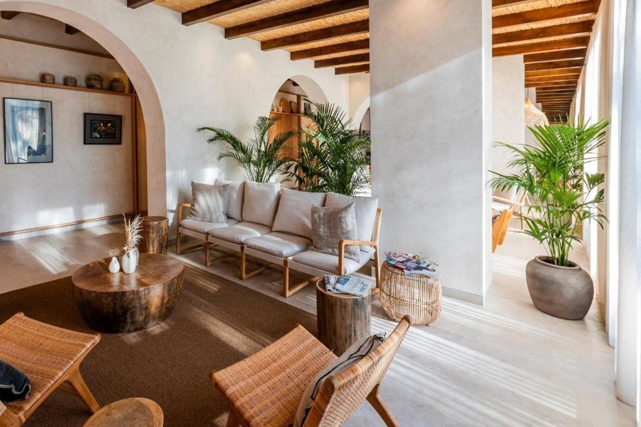 A spacious living area with a sofa, chairs, a coffee table, and potted plants.