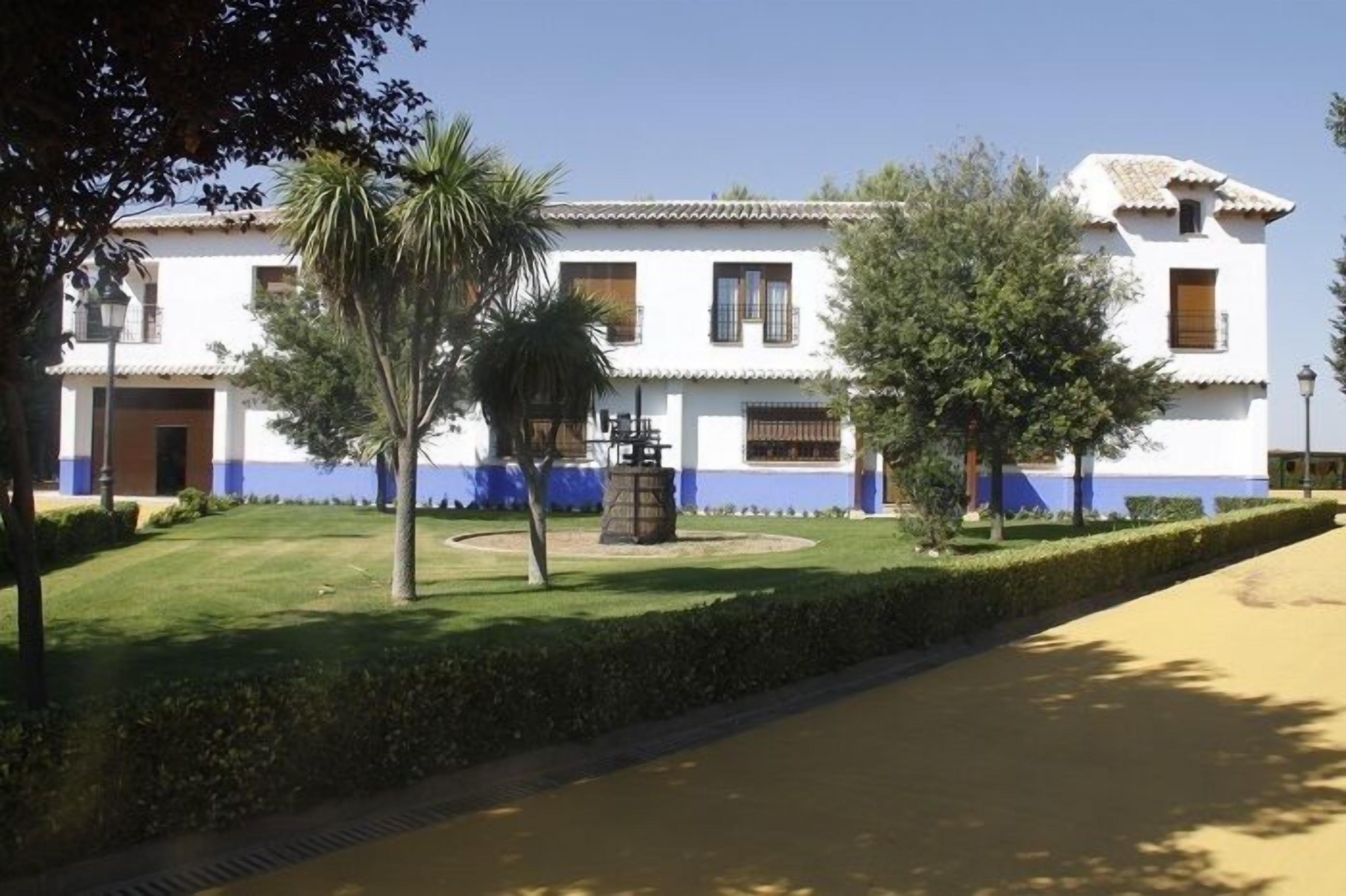 A white building with blue trim, a circular driveway, and a palm tree in the foreground.