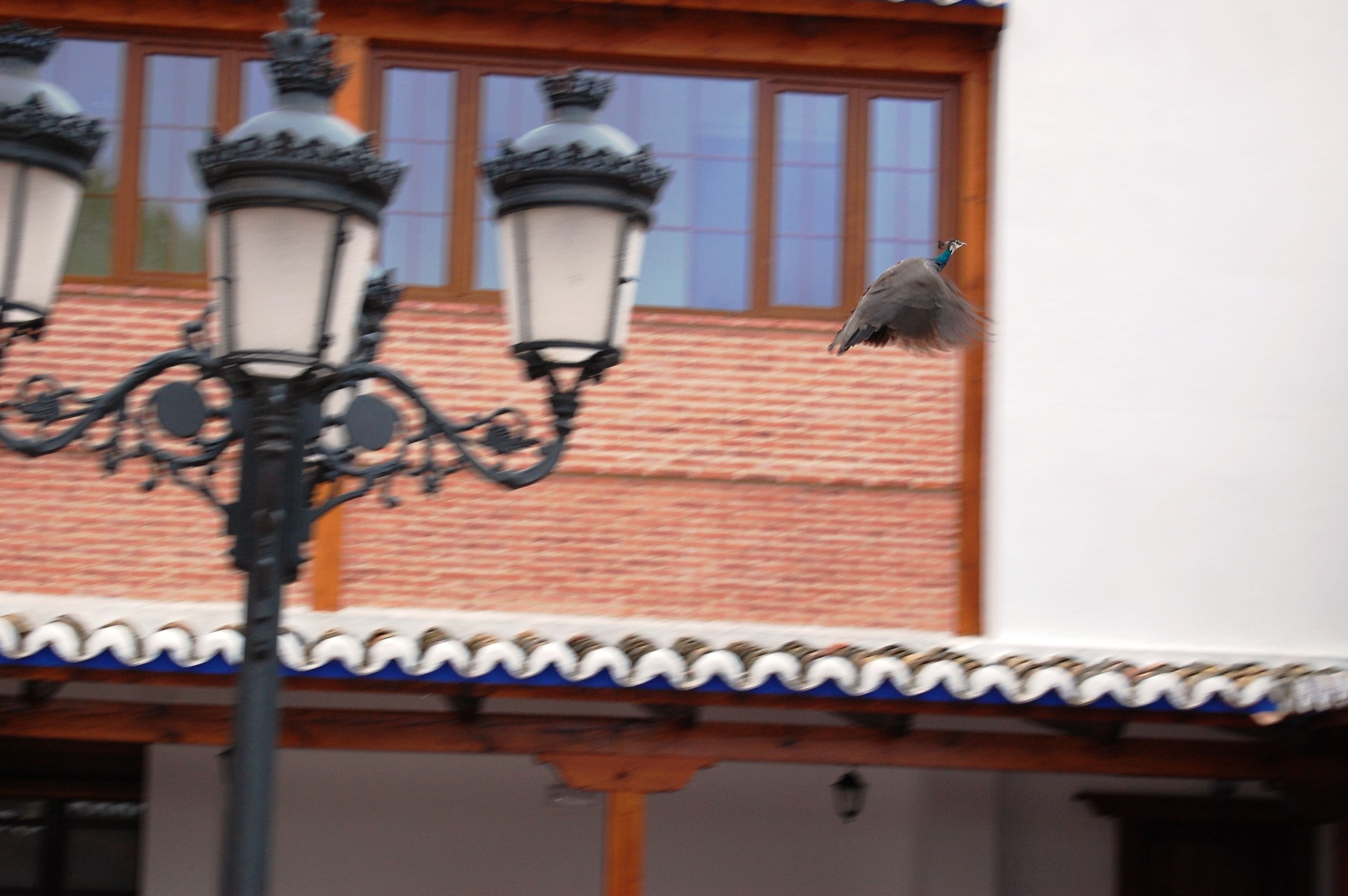 A bird perched on a lamp post in front of a building with a tiled roof and brick walls.