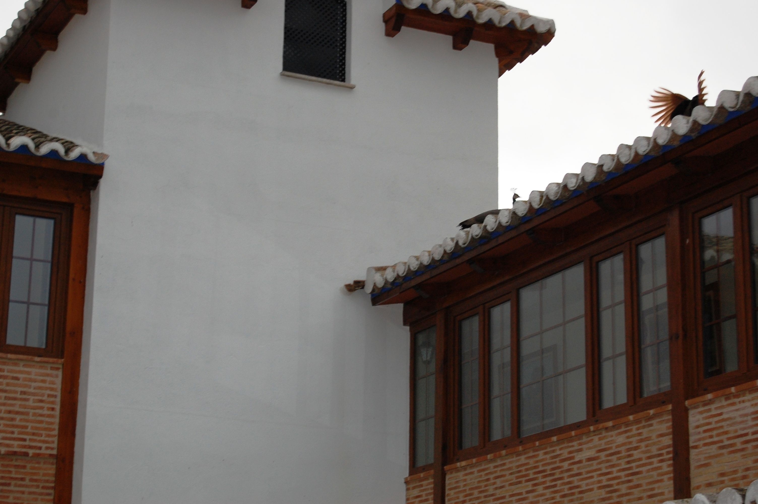 A building with a white facade, wooden window frames, and a tiled roof.