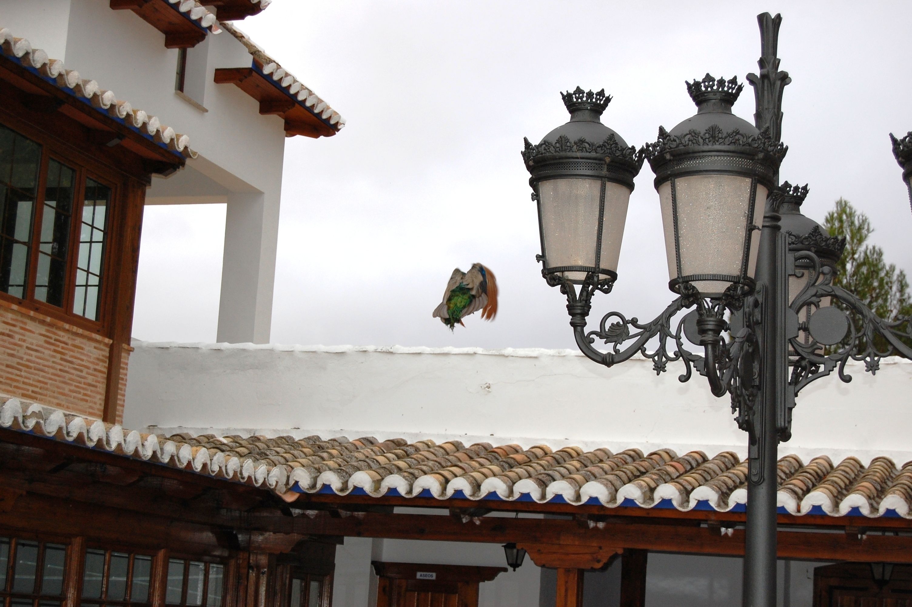 Un edificio tradicional con tejado de baldosas y farolas ornamentales.