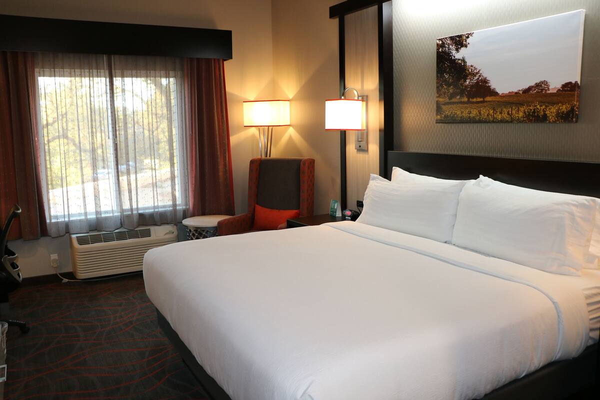 Habitación de hotel con una cama grande, un escritorio con silla, una lámpara y un cuadro en la pared.