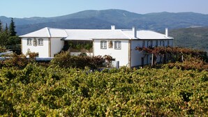 A white building with a tiled roof, surrounded by lush green vineyards, and set against a backdrop of hills and wind turbines. - Quinta Da Calcada (Melgaço)