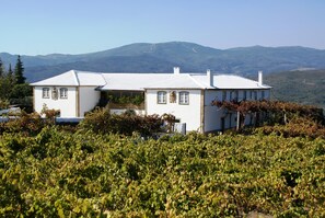 A white building with a tiled roof, surrounded by lush green vineyards, and set against a backdrop of hills and wind turbines. - Quinta Da Calcada (Melgaço)