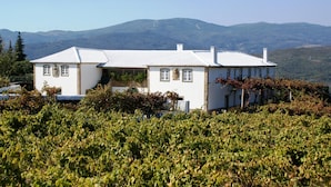 A white building with a tiled roof, surrounded by lush green vineyards, and set against a backdrop of hills and wind turbines.