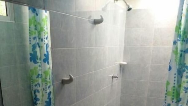 Une salle de bain avec un lavabo, des toilettes et une douche.