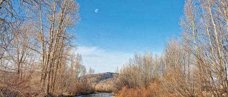 A river flowing through a forested area with bare trees and a clear sky.