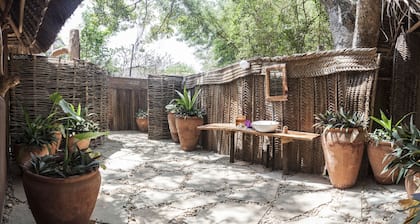 Distant Relatives Ecolodge & Backpackers