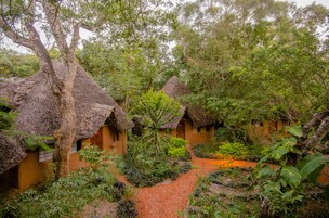 Cabanas com telhado de palha e um caminho de jardim que as leva até elas.