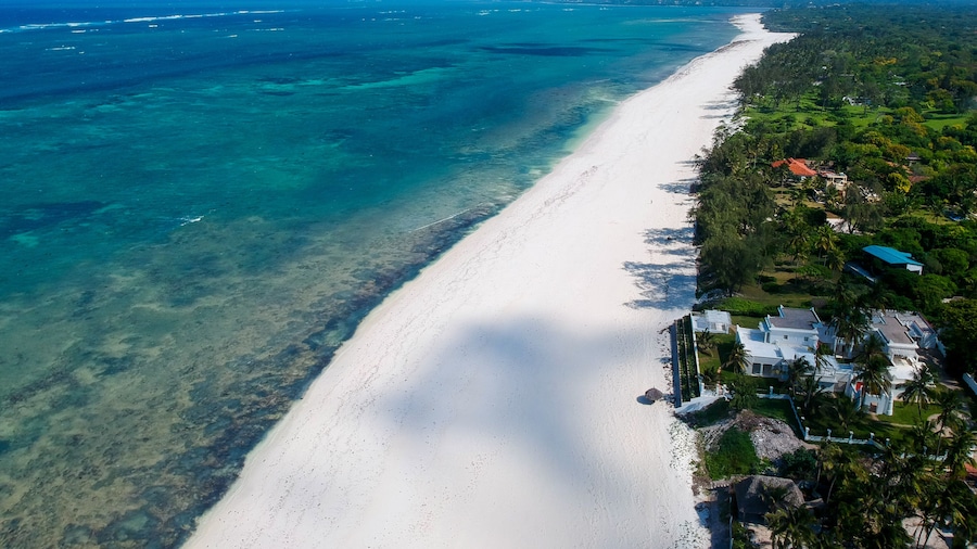 Distant Relatives Ecolodge & Backpackers