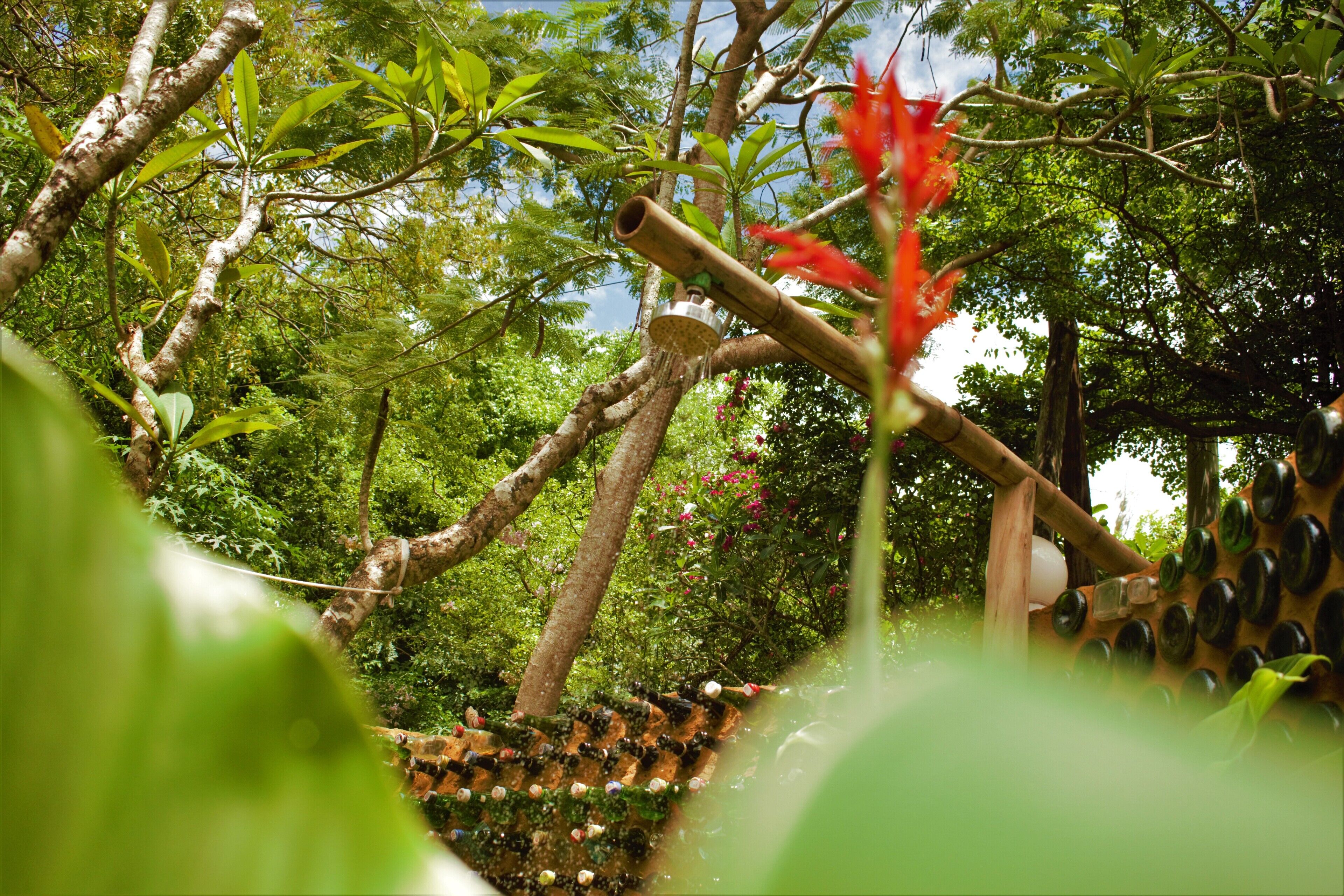 Un espacio al aire libre exuberante y verde con una estructura de bambú y un elemento acuático.
