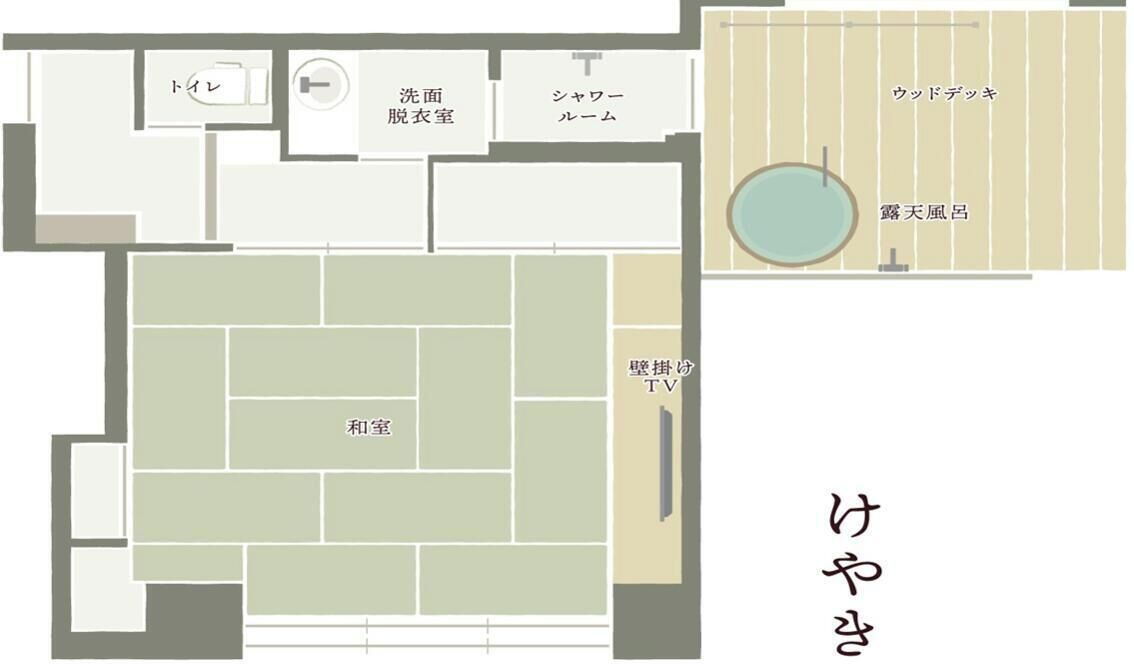 A hotel layout with a TV, a TV room, a washroom, a shower room, a wardrobe, and a toilet.