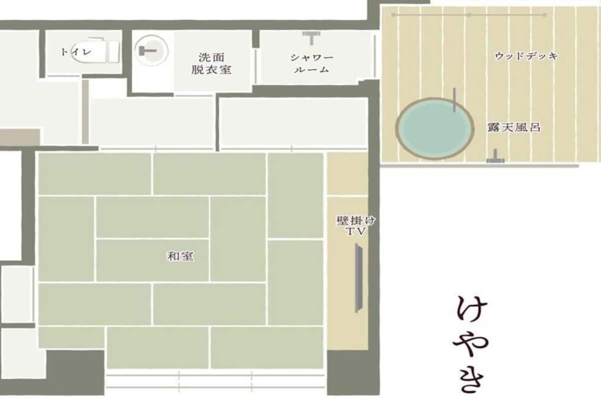 Un plan d’hôtel comprenant une télévision, une salle de télévision, une salle de lavage, une salle de douche, une armoire et des toilettes.