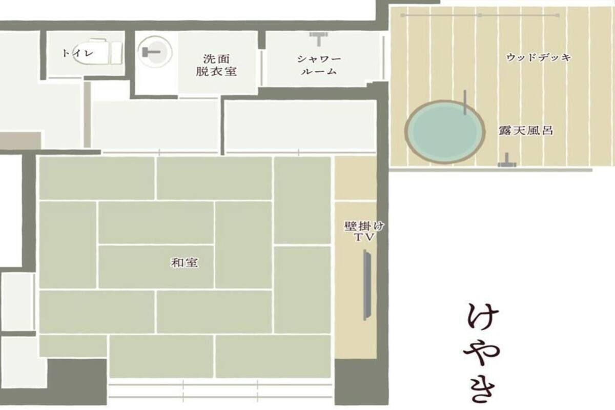 A hotel layout with a TV, a TV room, a washroom, a shower room, a wardrobe, and a toilet.