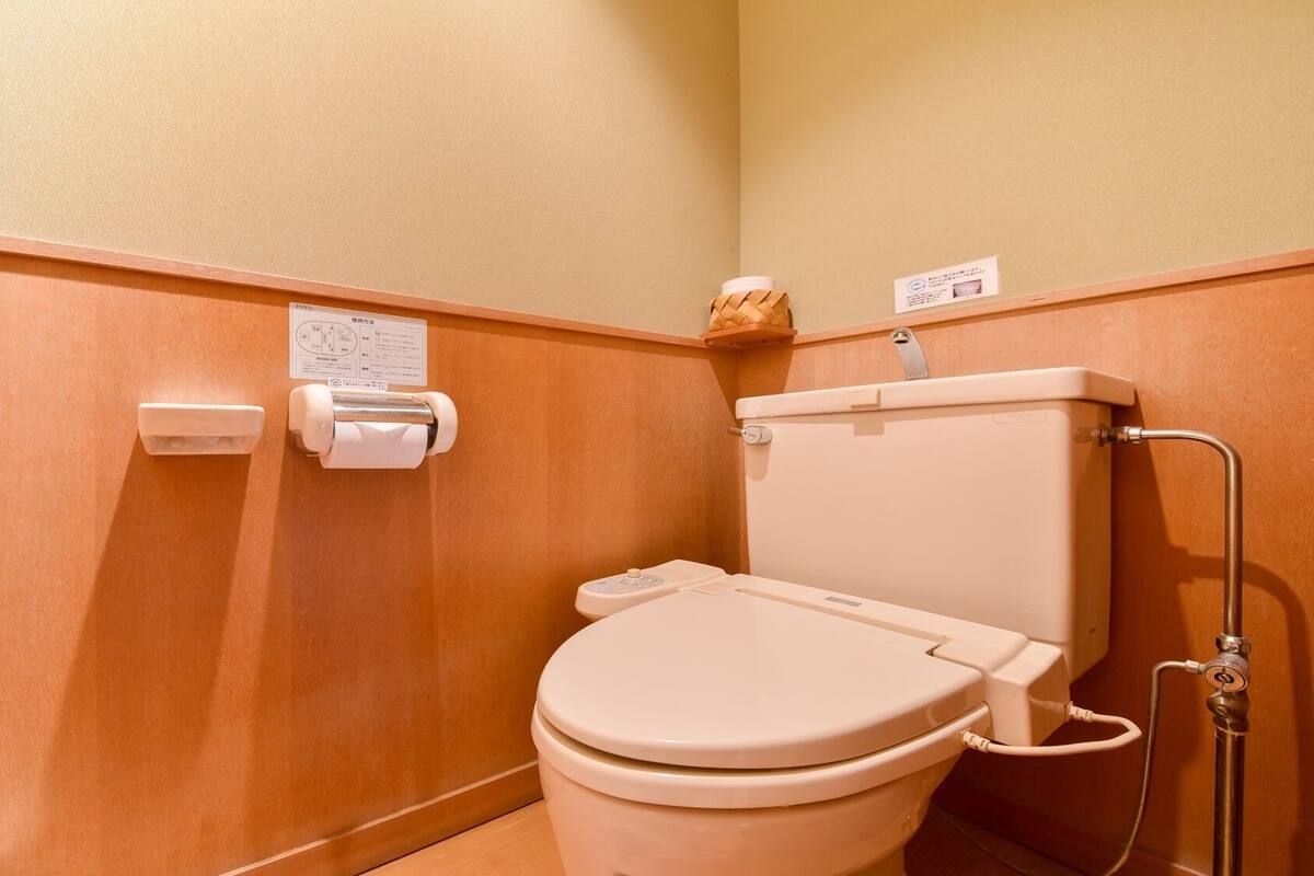 Des toilettes classiques, équipées d’une pédale au sol, d’un porte-rouleau de papier toilette et d’un distributeur de papier fixé au mur.