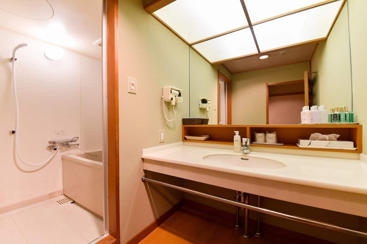 Une salle de bain avec une douche, un lavabo avec un miroir et des articles de toilette sur le comptoir.