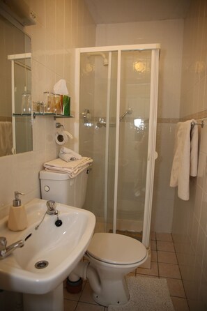 Chambre Familiale, salle de bains attenante (Shower) | Salle de bain