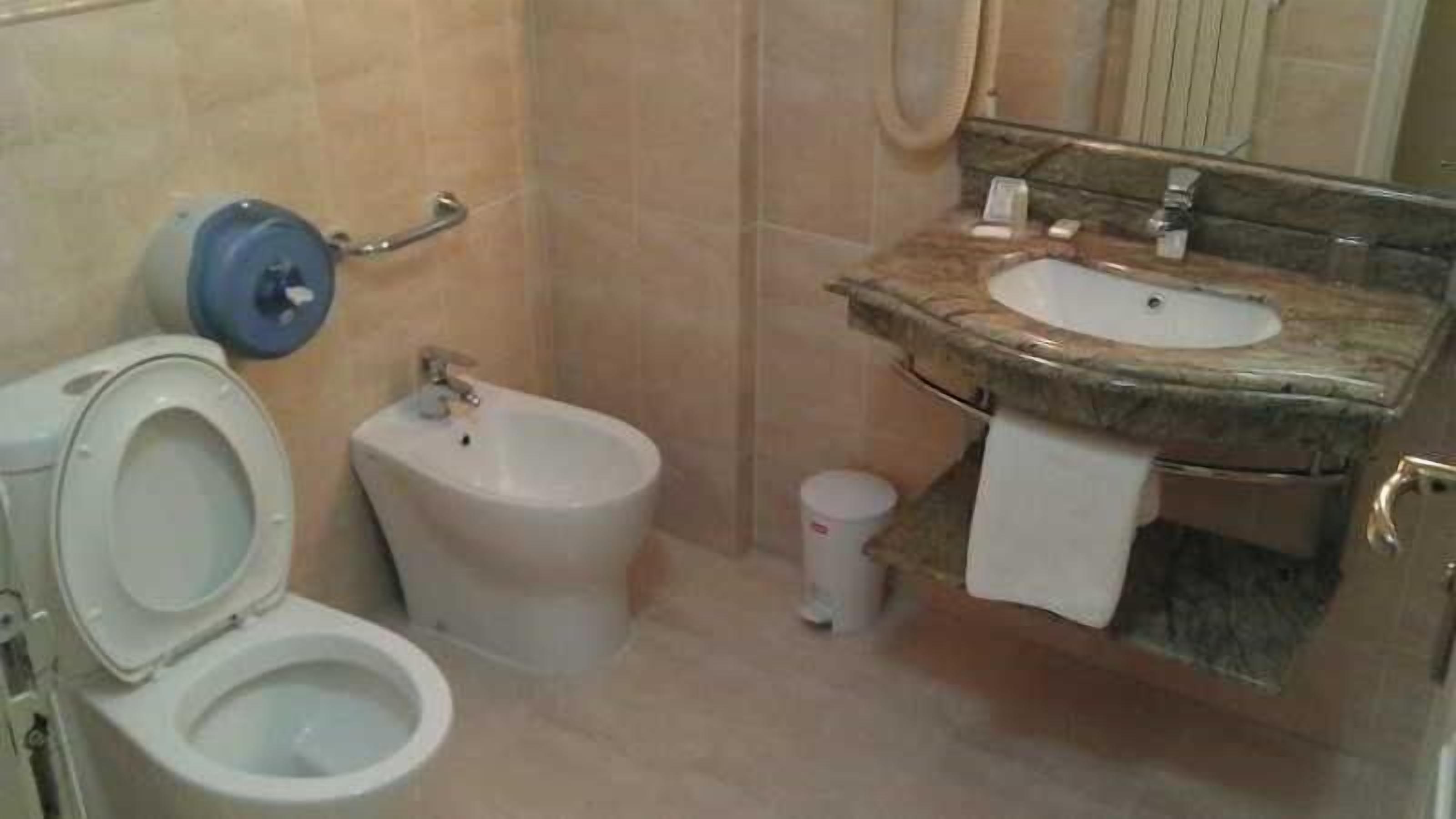 Une salle de bain équipée de toilettes, d’un bidet, d’un lavabo et d’un miroir.