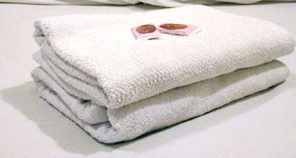 Hotel Paulistano Parque Anhembi