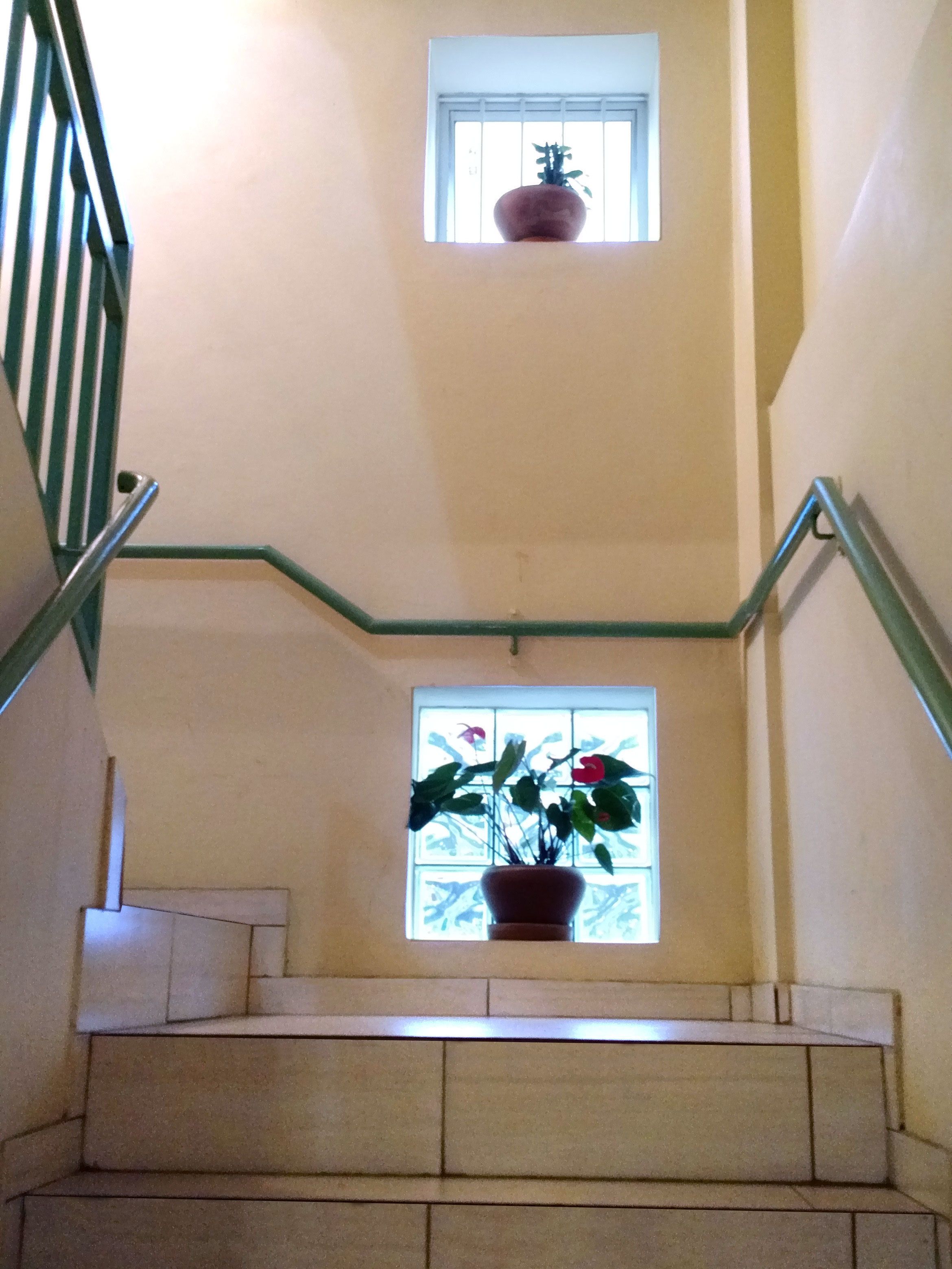 Photo - HOTEL PAULISTANO Parque Anhembi