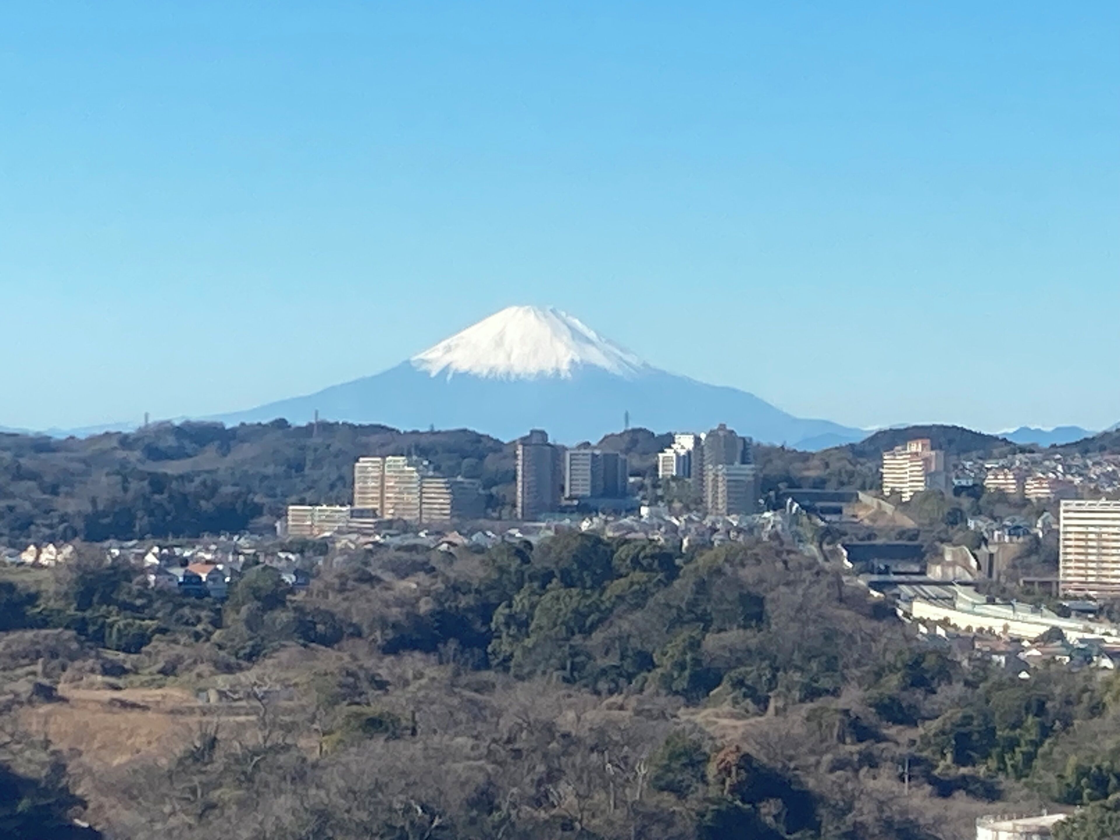 Foto - Yokohama Techno Tower Hotel