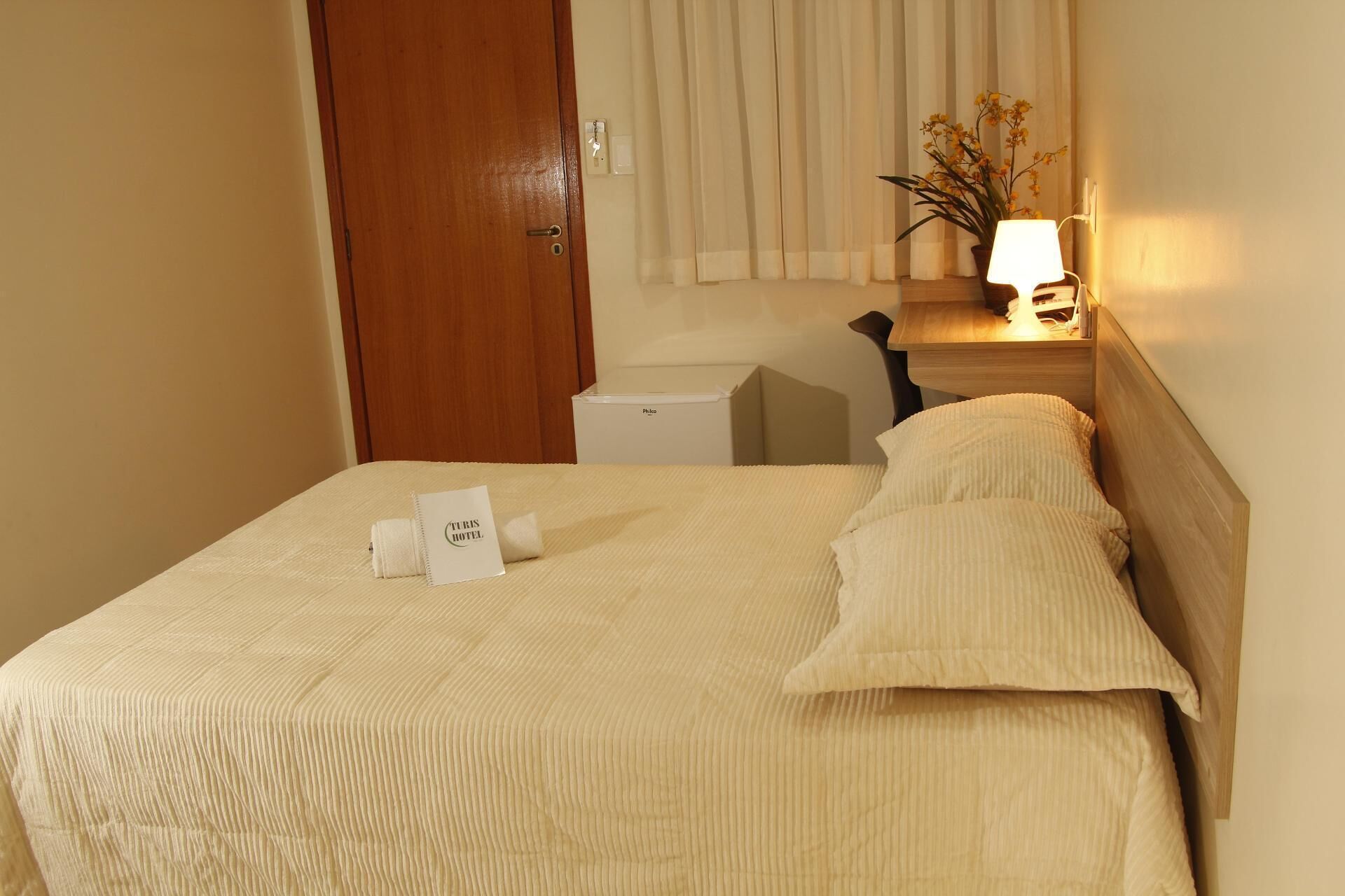 Habitación de hotel con una cama, una mesita de noche con lámpara, una planta en maceta y una puerta.