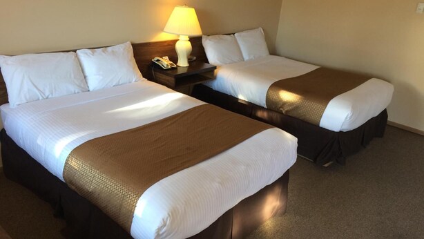 A hotel room with two beds, each with white and brown bedding, a nightstand with a lamp, and a telephone. - Siesta Motel (Olds)