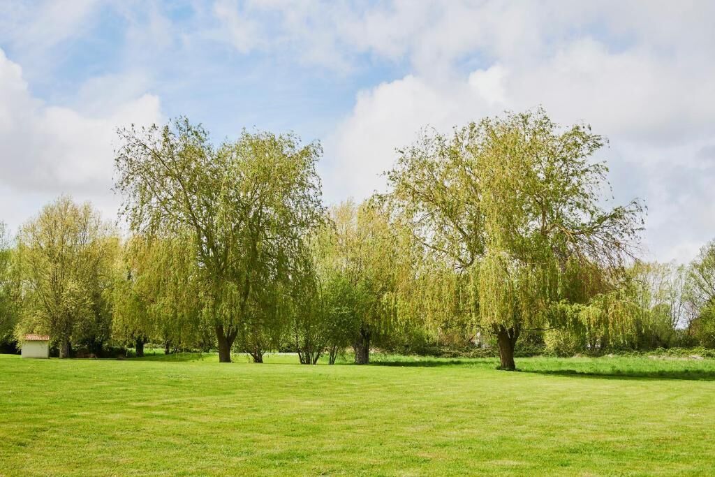 A grassy field with trees and a small building in the distance.
