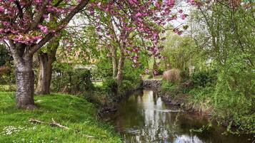 A serene riverside scene with blooming pink trees and lush greenery.