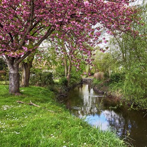Eine friedliche Flusslandschaft mit blühenden rosafarbenen Bäumen und üppigem Grün.