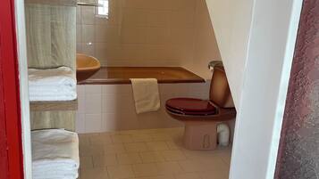 Appartement Deluxe, 1 chambre, non-fumeurs | Salle de bain | Douche, sĂšche-cheveux, peignoirs, serviettes fournies