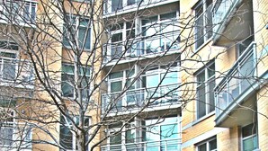 A multi-story residential building with balconies, a bench, and a tree in the foreground. - Weichert Suites at Wisconsin Place (Chevy Chase)