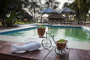 A swimming pool with lounge chairs and umbrellas, surrounded by tropical plants and trees. - (Rundu)