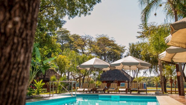 A pool area with lounge chairs and umbrellas, surrounded by trees and a thatched-roof structure.